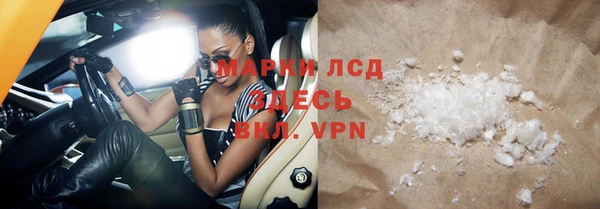 индика Сосновый Бор